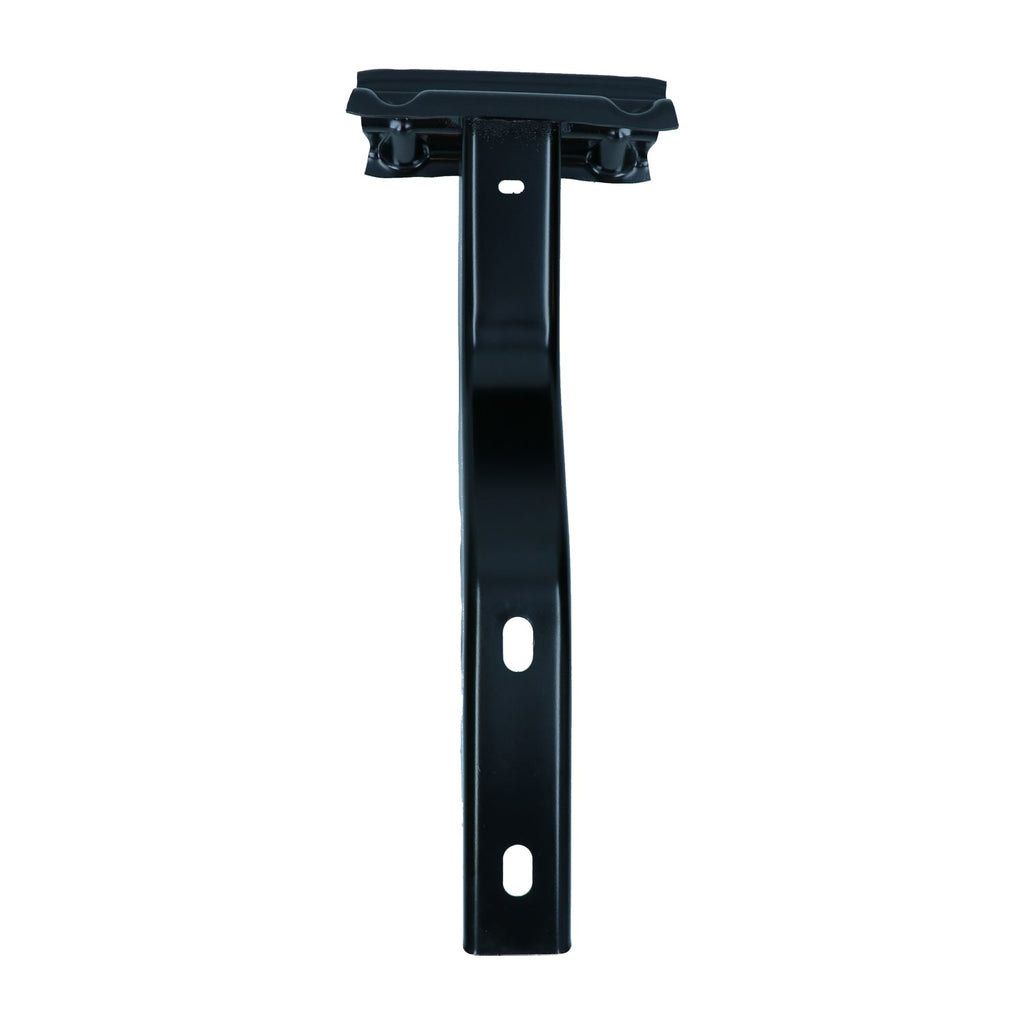 Bumpersteun achteraan, links detail — T1