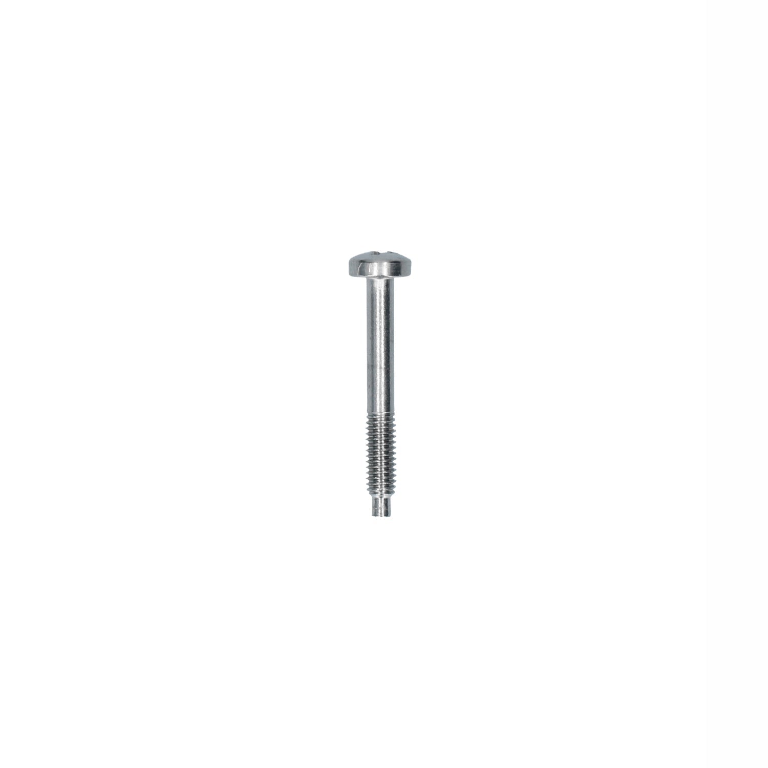 Vijs verlichting - M4 x 30 voor T2, Kever — VintageDub