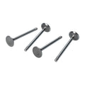 Inlaatkleppen 33mm, 8mm steel, 1300cc enkele inlaat voor T1, Kever, KG — VintageDub