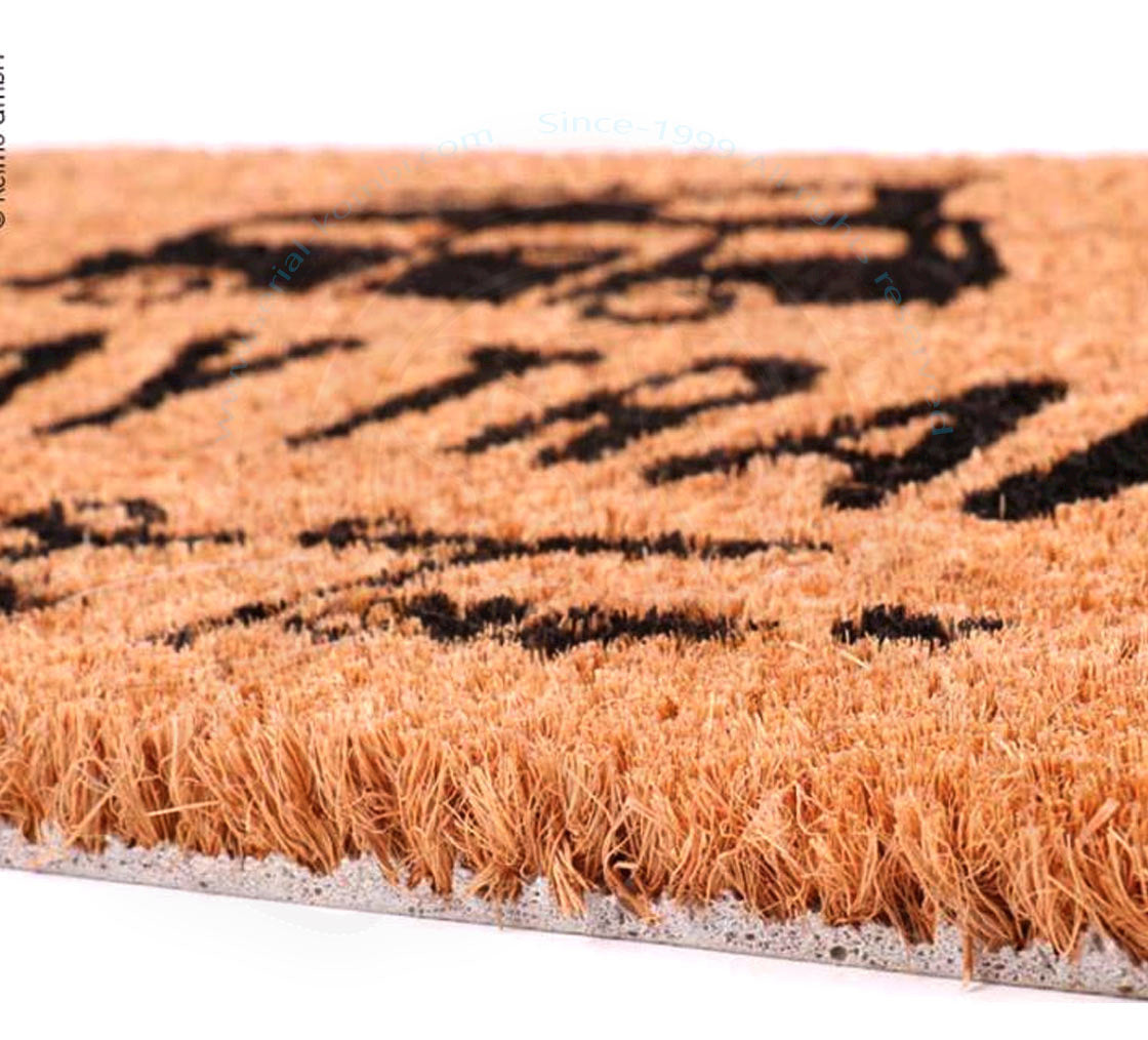 Fußmatte 50x25 cm Kokosfaser Holiday Travel